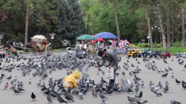 Almaty City Video Kazakhstan April 2024 Gogol Street Park Panfilov — Stock video