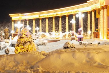Almaty City Kazakistan 8 Ocak 2025. Al Farabi Caddesi, Almaty 'deki Birinci Başkan Parkı.