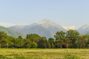 Almaty City Kazakistan 8 Mayıs 2025. Al Farabi Caddesi, Almaty 'deki Birinci Başkan Parkı.