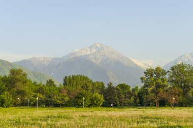 Almaty City Kazakistan 8 Mayıs 2025. Al Farabi Caddesi, Almaty 'deki Birinci Başkan Parkı.