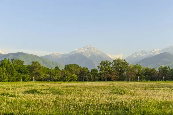 Almaty City Kazakistan 8 Mayıs 2025. Al Farabi Caddesi, Almaty 'deki Birinci Başkan Parkı.