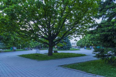 Almaty City Kazakistan 8 Mayıs 2025. Al Farabi Caddesi, Almaty 'deki Birinci Başkan Parkı.