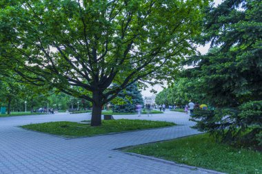 Almaty City Kazakistan 8 Mayıs 2025. Al Farabi Caddesi, Almaty 'deki Birinci Başkan Parkı.