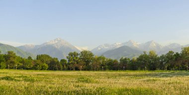 Almaty City Kazakistan 8 Mayıs 2025. Al Farabi Caddesi, Almaty 'deki Birinci Başkan Parkı.