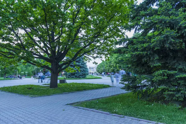 Almaty City Kazakistan 8 Mayıs 2025. Al Farabi Caddesi, Almaty 'deki Birinci Başkan Parkı.