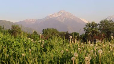 Almaty City Kazakistan 8 Mayıs 2025. Al Farabi Caddesi, Almaty 'deki Birinci Başkan Parkı.