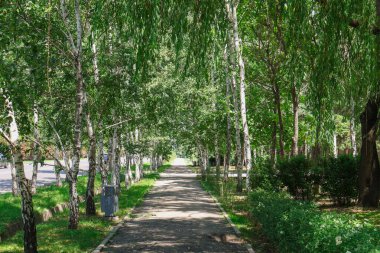Almaty City Kazakistan 9 Haziran 2024. Al Farabi Caddesi, Almaty 'deki Birinci Başkan Parkı.