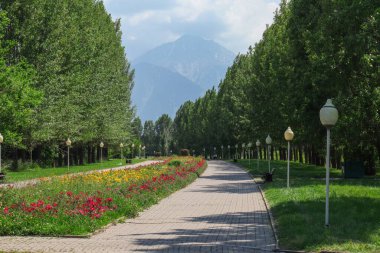 Almaty City Kazakistan 9 Haziran 2024. Al Farabi Caddesi, Almaty 'deki Birinci Başkan Parkı.