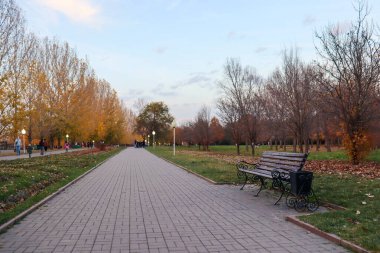 Almaty City Kazakistan 2 Kasım 2024. Almaty 'deki Birinci Başkan Parkı