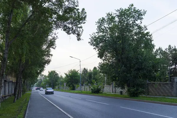 Almaty City Kazakistan 25 Mayıs 2025. Almaty 'deki Sadykov Caddesi.