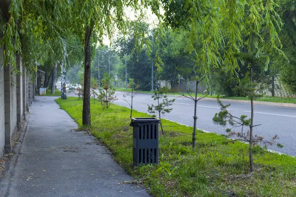 Almaty City Kazakistan 25 Mayıs 2025. Almaty 'deki Sadykov Caddesi.