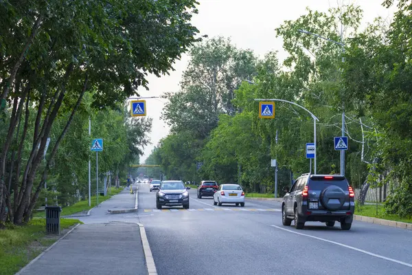 Almaty City Kazakistan 25 Mayıs 2025. Almaty 'deki Sadykov Caddesi.