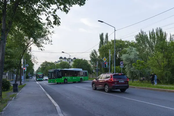 Almaty City Kazakistan 25 Mayıs 2025. Almaty 'deki Sadykov Caddesi.