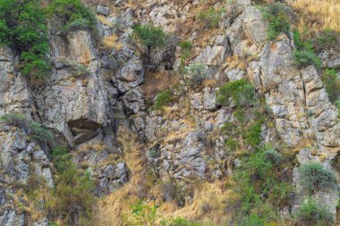 25 Ağustos 2025, Medeo Shymbulak Dağı Tatil Köyü, Almaty Kazakistan