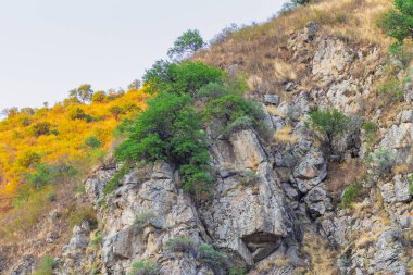 25 Ağustos 2025, Medeo Shymbulak Dağı Tatil Köyü, Almaty Kazakistan