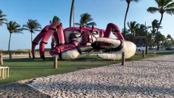 Aracaju Sergipe Aracaju Brasil Panning Wide Cityscape Crab Walkway Aracaju — Vídeo de Stock