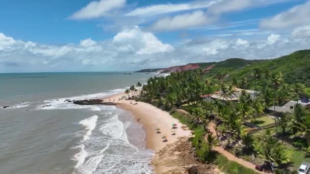 Beach Tropical Scenery Joao Pessoa Paraiba State Brazil Tropical Travel — Stock Video