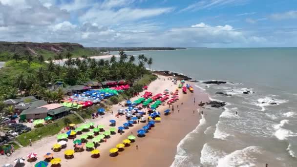 Joao Pessoa Brasil Joao Pessoa Paraiba Paisaje Tropical Playa Joao — Vídeos de Stock