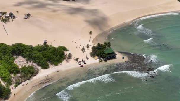 Karaibska Sceneria Plaży Genipabu Rio Grande Norte Brazylia Północno Wschodnia — Wideo stockowe