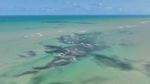 Plaża Tropikalne Krajobrazy Joao Pessoa Stanie Paraiba Brazylia Podróż Tropikalna — Wideo stockowe