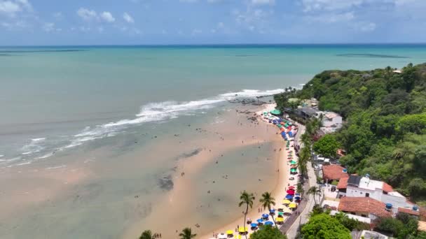 Falésias Panorâmicas Praia Pipa Rio Grande Norte Brasil Nordeste Paisagem — Vídeo de Stock