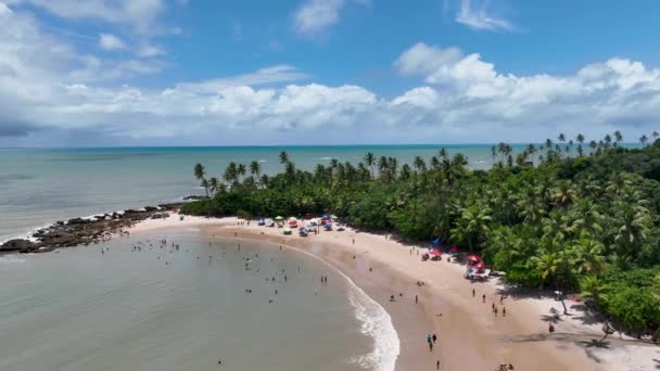 Paisaje Tropical Playa Joao Pessoa Estado Paraiba Brasil Viajes Tropicales — Vídeos de Stock