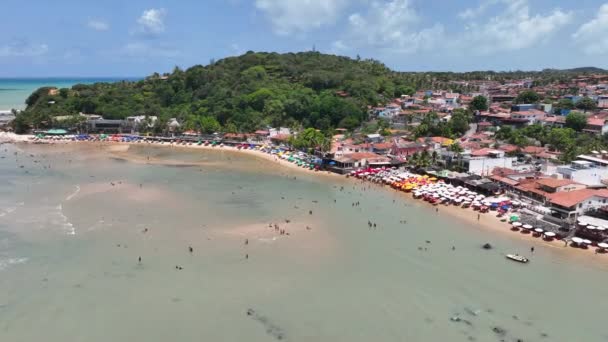 Água Baía Caribe Praia Pipa Rio Grande Norte Brasil Nordeste — Vídeo de Stock