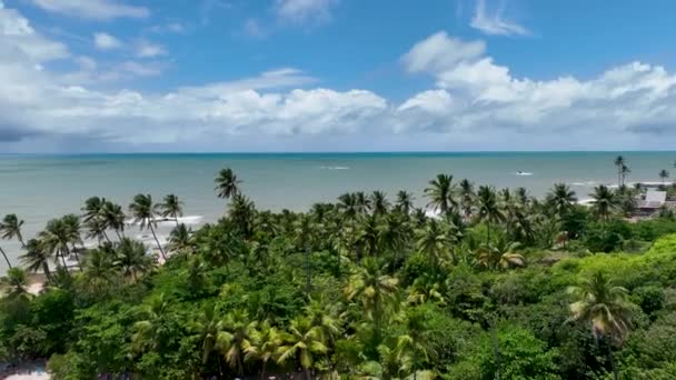 Joao Pessoa Brazylia Joao Pessoa Paraiba Plaża Tropikalne Krajobrazy Joao — Wideo stockowe