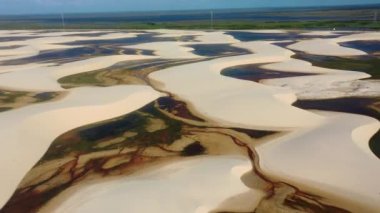 Brezilya Maranhao eyaletindeki Lencois Maranhens yakınlarında Mandacaru adası. Mandacaru Köyü 'ndeki orman manzarası. Tropik seyahat. Ünlü bir dönüm noktası. Mandacaru adasındaki orman ağaçları.