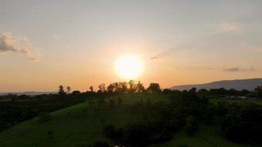 Kırsal hayat manzarasında gün batımı. Kırsal alan. Orman ağaçları. Manzaralı orman ağaçlarında güneş ışığı. Gün batımı gökyüzü. Gün batımı manzarası. Renkli günbatımı silüeti.