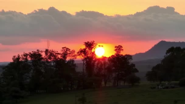 Ηλιοβασίλεμα Στο Τοπίο Της Υπαίθρου Αγροτικό Τοπίο Δέντρα Δάσους Ηλιακό — Αρχείο Βίντεο