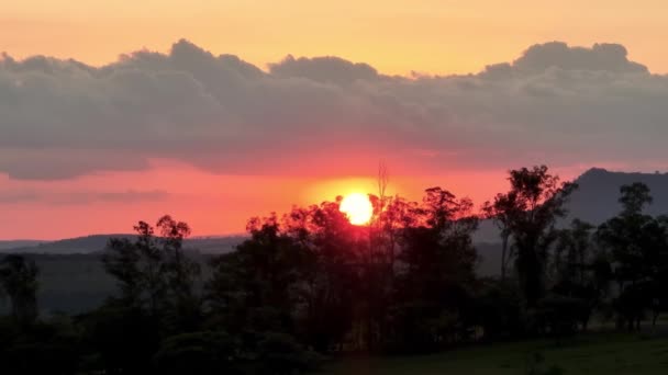 田舎の生活風景で日没 田園風景 森の木 風光明媚な森の木々で日光 日没の空 日没の風景 カラフルな夕日のスカイライン — ストック動画
