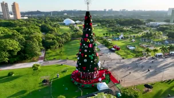 Árvore Natal São Paulo Brasil Árvore Natal Famoso Parque Candido — Vídeo de Stock