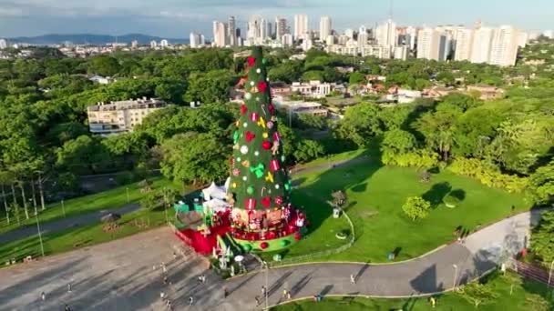サンパウロブラジルのクリスマスツリー サンパウロブラジルの有名なカンディド ポルティナーリ公園のクリスマスツリー 休日のシーン サンパウロの風景クリスマスツリーブラジル — ストック動画