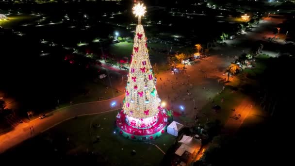 Sao Paulo Brezilya Noel Ağacı Sao Paulo Brezilya Daki Ünlü — Stok video