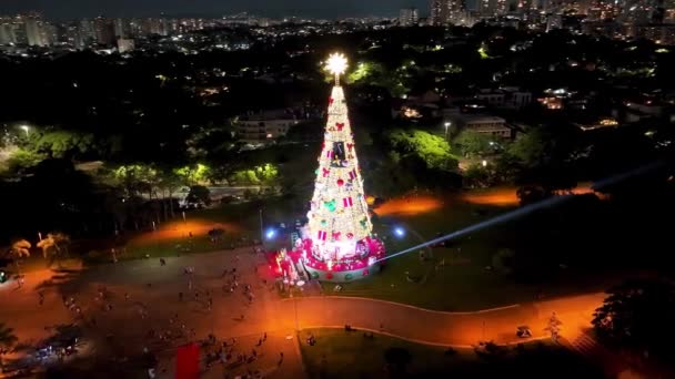 サンパウロブラジルのクリスマスツリー サンパウロブラジルで有名なカンディド ポルティナーリ公園でライトアップされたクリスマスツリーの夜の風景 休日のシーン サンパウロのライトアップされたクリスマスツリーブラジル — ストック動画