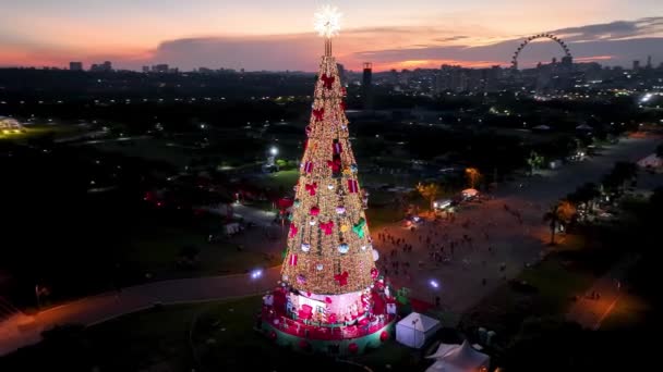 サンパウロブラジルのクリスマスツリー サンパウロブラジルのカンディド ポルティナーリ公園のライトアップされたクリスマスツリーの日没の風景 休日のシーン サンパウロのライトアップされたクリスマスツリーブラジル — ストック動画
