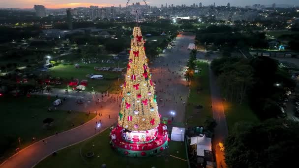 サンパウロブラジルのクリスマスツリー サンパウロブラジルのカンディド ポルティナーリ公園のライトアップされたクリスマスツリーの日没の風景 休日のシーン サンパウロのライトアップされたクリスマスツリーブラジル — ストック動画