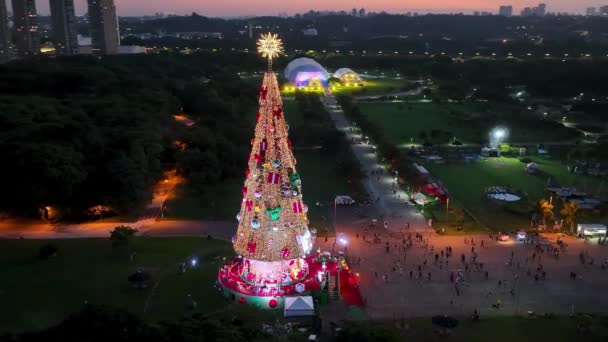 Kerstboom Sao Paulo Brazilië Zonsondergang Landschap Van Verlichte Kerstboom Bij — Stockvideo