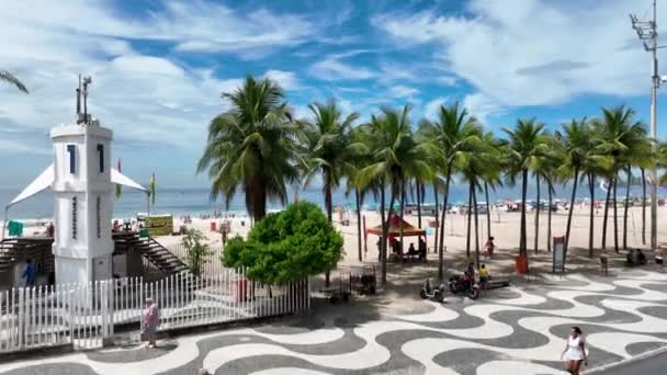 Palm Trees Beach Copacabana Beach Rio Janeiro Brazil Travel Destination — Stockvideo