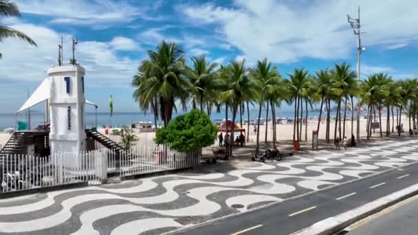 Palm Trees Copacabana Beach Rio Janeiro Brazil Travel Destination Tourism — Stock Video