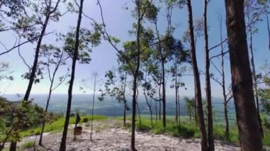 Montain View At Rural Landscape In Countryside Landscape. Country Green. Field Environmental. Rural Landscape At Countryside Landscape. Plantation Country. Farming Environmental.