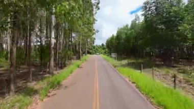 Single Road At Rural Landscape In Countryside Landscape. Country Green. Field Environmental. Rural Landscape At Countryside Landscape. Plantation Country. Farming Environmental.