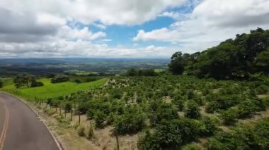 Agriculture Field At Rural Landscape In Countryside Landscape. Country Green. Field Environmental. Rural Landscape At Countryside Landscape. Plantation Country. Farming Environmental.