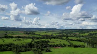 Rural Skyline At Rural Landscape In Countryside Landscape. Country Green. Field Environmental. Rural Landscape At Countryside Landscape. Plantation Country. Farming Environmental.
