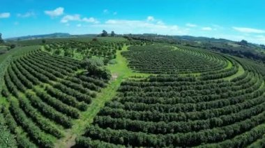 Cultivation Field At Country Scenery In Rural Landscape Countryside Scene. Harvest Field Environment. Nature Skyline. Scenic Outdoor. Cultivation Field At Country Scenery.