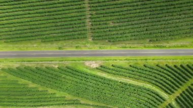 Country Road At Country Scenery In Rural Landscape Countryside. Harvest Field Environment. Nature Skyline. Scenic Outdoor. Country Road At Country Scenery.