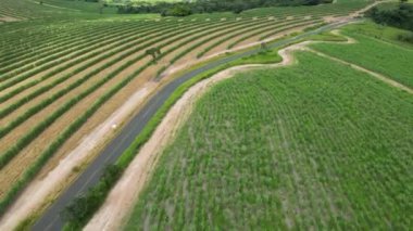 Country Road At Country Scenery In Rural Landscape Countryside. Harvest Field Environment. Nature Skyline. Scenic Outdoor. Country Road At Country Scenery.