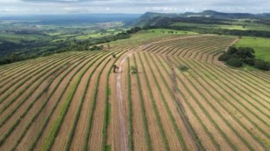 Cultivation Field At Country Scenery In Rural Landscape Countryside. Harvest Field Environment. Nature Skyline. Scenic Outdoor. Cultivation Field At Country Scenery.