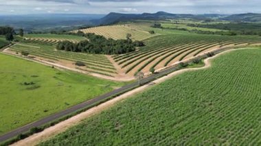 Agriculture Field At Country Scenery In Rural Landscape Countryside. Harvest Field Environment. Nature Skyline. Scenic Outdoor. Agriculture Field At Country Scenery.